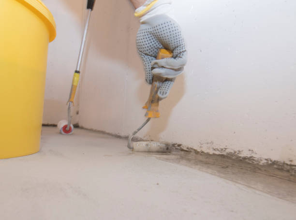 Best Fumigation Services  in Mamou, LA